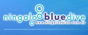 Ningaloo Blue Dive - Northern Rivers Accommodation