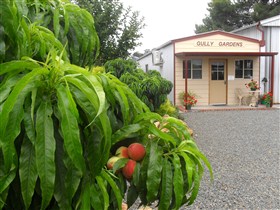 Gully Gardens - Northern Rivers Accommodation