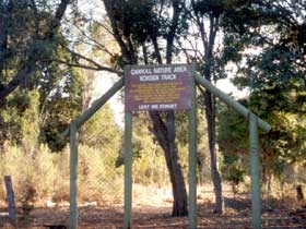 Carroll Nature Reserve Kokoda Track - Northern Rivers Accommodation