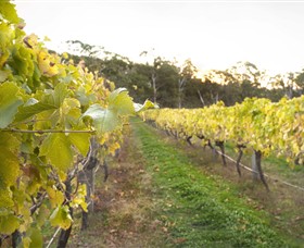 Harcourt Valley Vineyards - Northern Rivers Accommodation