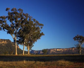 Capertee Valley Bird Trail - Northern Rivers Accommodation