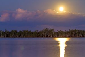 Lake Broadwater Conservation Park - Northern Rivers Accommodation