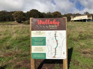 The Wallaby Track - Northern Rivers Accommodation