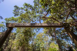 Bribie Island Bicentennial Trails - Northern Rivers Accommodation