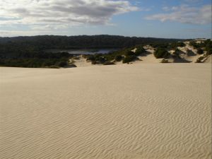 Yeagerup Sand Dunes - Northern Rivers Accommodation